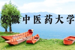 安徽中医药大学近三年在河北录取分数线(含2022-2024最低分)