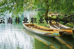 云南林业职业技术学院近三年在河北录取分数线(含2022-2024最低分)