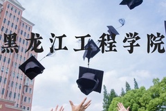 黑龙江工程学院近三年在河北录取分数线(含2022-2024最低分)