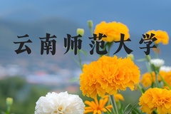 云南师范大学近三年在河北录取分数线(含2022-2024最低分)