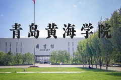 青岛黄海学院近三年在河北录取分数线(含2022-2024最低分)