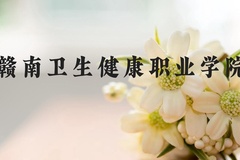 赣南卫生健康职业学院近三年在河北录取分数线(含2022-2024最低分)