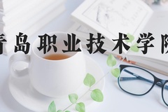 青岛职业技术学院近三年在河北录取分数线(含2022-2024最低分)