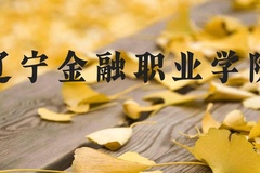 辽宁金融职业学院近三年在河北录取分数线(含2022-2024最低分)