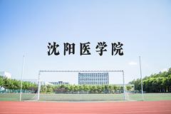 沈阳医学院近三年在河北录取分数线(含2022-2024最低分)