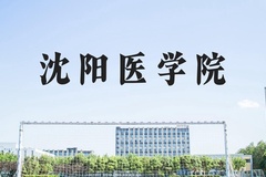 沈阳医学院近三年在河北录取分数线(含2022-2024最低分)