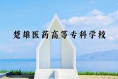 楚雄医药高等专科学校近三年在河北录取分数线(含2022-2024最低分)