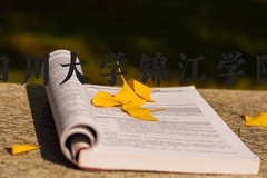 四川大学锦江学院近三年在河北录取分数线(含2022-2024最低分)