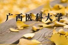 广西医科大学近三年在河北录取分数线(含2022-2024最低分)