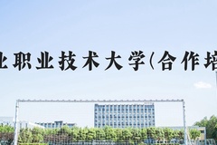 唐山工业职业技术大学(合作培养项目)近三年在河北录取分数线(含2022-2024最低分)