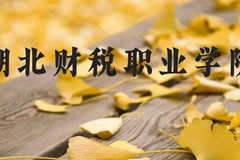 湖北财税职业学院近三年在河北录取分数线(含2022-2024最低分)