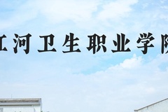 红河卫生职业学院近三年在河北录取分数线(含2022-2024最低分)