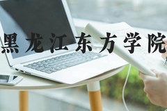 黑龙江东方学院近三年在河北录取分数线(含2022-2024最低分)