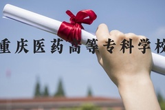 重庆医药高等专科学校近三年在河北录取分数线(含2022-2024最低分)