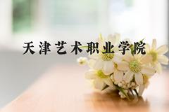 天津艺术职业学院近三年在河北录取分数线(含2022-2024最低分)