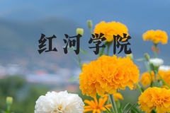红河学院近三年在河北录取分数线(含2022-2024最低分)
