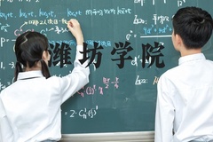 潍坊学院近三年在河北录取分数线(含2022-2024最低分)
