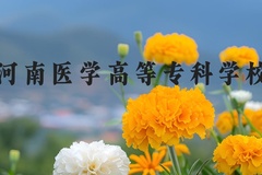 河南医学高等专科学校近三年在河北录取分数线(含2022-2024最低分)