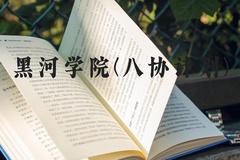 黑河学院(八协计划)近三年在河北录取分数线(含2022-2024最低分)