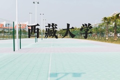 西藏大学近三年在河北录取分数线(含2022-2024最低分)