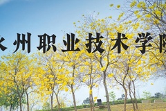 永州职业技术学院近三年在河北录取分数线(含2022-2024最低分)