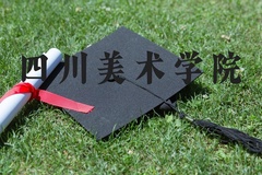 四川美术学院近三年在河北录取分数线(含2022-2024最低分)