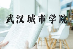 武汉城市学院近三年在河北录取分数线(含2022-2024最低分)