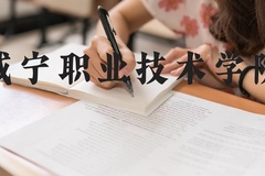 咸宁职业技术学院近三年在河北录取分数线(含2022-2024最低分)