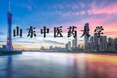 山东中医药大学近三年在河北录取分数线(含2022-2024最低分)