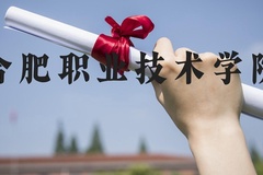 合肥职业技术学院近三年在河北录取分数线(含2022-2024最低分)