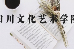 四川文化艺术学院近三年在河北录取分数线(含2022-2024最低分)