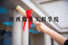 陕西服装工程学院近三年在河北录取分数线(含2022-2024最低分)