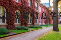 大连东软信息学院近三年在河北录取分数线(含2022-2024最低分)