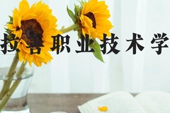 阿拉善职业技术学院近三年在河北录取分数线(含2022-2024最低分)