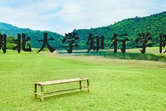 湖北大学知行学院近三年在河北录取分数线(含2022-2024最低分)