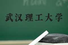武汉理工大学近三年在河北录取分数线(含2022-2024最低分)