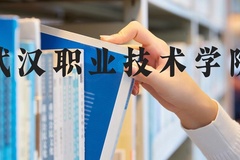 武汉职业技术学院近三年在河北录取分数线(含2022-2024最低分)