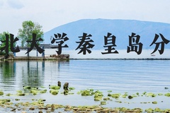 东北大学秦皇岛分校近三年在河北录取分数线(含2022-2024最低分)