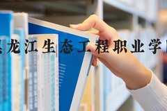 黑龙江生态工程职业学院近三年在河北录取分数线(含2022-2024最低分)