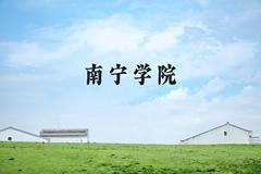 南宁学院近三年在河北录取分数线(含2022-2024最低分)