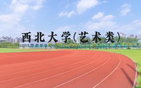 西北大学(艺术类)近三年在河北录取分数线(含2022-2024最低分)