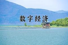 数字经济专业2024在山东招生院校及专业录取分数线