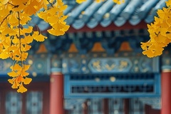 2024年湖北中医药大学在广东计划招生人数（附学费及专业录取分）