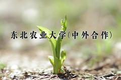 2024年东北农业大学(中外合作)在四川计划招生人数（附学费及专业录取分)