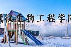 2024年武汉生物工程学院在四川计划招生人数（附学费及专业录取分)