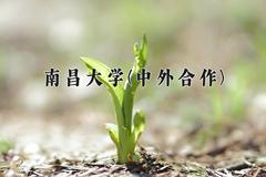 2024年南昌大学(中外合作)在四川计划招生人数（附学费及专业录取分)