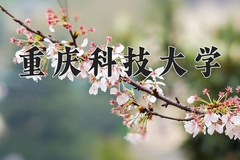 2024年重庆科技大学在四川计划招生人数（附学费及专业录取分)
