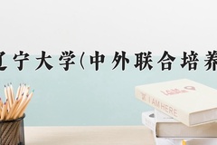 2024年辽宁大学(中外联合培养)在四川计划招生人数（附学费及专业录取分)