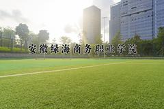 2024年安徽绿海商务职业学院在河南计划招生人数（附学费及专业录取分)