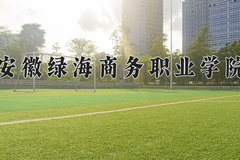 2024年安徽绿海商务职业学院在河南计划招生人数（附学费及专业录取分)